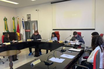 Foto - S.E Câmara de Vereadores Mirins