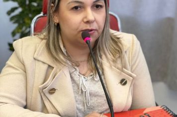 Foto - 3º Câmara de Vereadores Mirim 2023/2024.