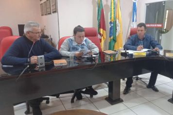 REUNIÃO DA COMISSÃO DE CONSTITUIÇÃO, JUSTIÇA, REDAÇÃO FINAL E DESENVOLVIMENTO SOCIAL