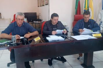 REUNIÃO DA COMISSÃO DE CONSTITUIÇÃO, JUSTIÇA, REDAÇÃO FINAL E DESENVOLVIMENTO SOCIAL