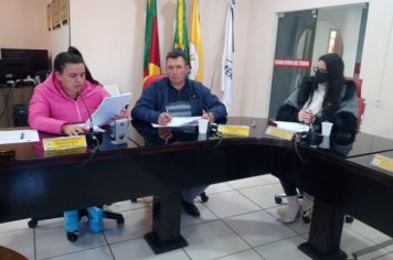 REUNIÃO DA COMISSÃO DE CONSTITUIÇÃO, JUSTIÇA, REDAÇÃO FINAL E DESENVOLVIMENTO SOCIAL