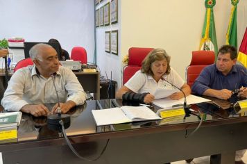  REUNIÃO DA COMISSÃO DE CONSTITUIÇÃO, JUSTIÇA, REDAÇÃO FINAL E DESENVOLVIMENTO SOCIAL.