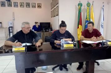 REUNIÃO DA COMISSÃO DE CONSTITUIÇÃO, JUSTIÇA, REDAÇÃO FINAL E DESENVOLVIMENTO SOCIAL