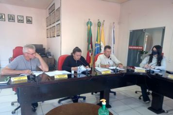   REUNIÃO DA COMISSÃO DE CONSTITUIÇÃO, JUSTIÇA, REDAÇÃO FINAL E DESENVOLVIMENTO SOCIAL