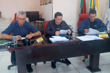 REUNIÃO DA COMISSÃO DE CONSTITUIÇÃO, JUSTIÇA, REDAÇÃO FINAL E DESENVOLVIMENTO SOCIAL