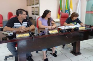 REUNIÃO DA COMISSÃO DE CONSTITUIÇÃO, JUSTIÇA, REDAÇÃO FINAL E DESENVOLVIMENTO SOCIAL.