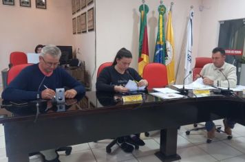 REUNIÃO DA COMISSÃO DE CONSTITUIÇÃO, JUSTIÇA, REDAÇÃO FINAL E DESENVOLVIMENTO SOCIAL