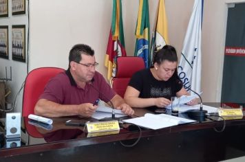 REUNIÃO DA COMISSÃO DE CONSTITUIÇÃO, JUSTIÇA, REDAÇÃO FINAL E DESENVOLVIMENTO SOCIAL.