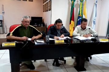 REUNIÃO DA COMISSÃO DE CONSTITUIÇÃO, JUSTIÇA, REDAÇÃO FINAL E DESENVOLVIMENTO SOCIAL