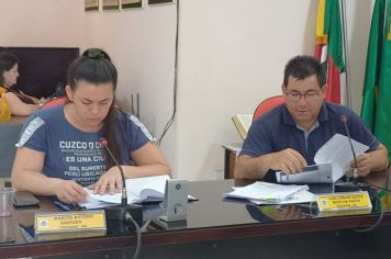 REUNIÃO DA COMISSÃO DE CONSTITUIÇÃO, JUSTIÇA, REDAÇÃO FINAL E DESENVOLVIMENTO SOCIAL.