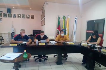 REUNIÃO DA COMISSÃO DE CONSTITUIÇÃO, JUSTIÇA, REDAÇÃO FINAL E DESENVOLVIMENTO SOCIAL