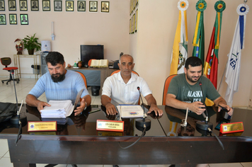 COMISSÃO DE CONSTITUIÇÃO, JUSTIÇA, REDAÇÃO FINAL E DESENVOLVIMENTO SOCIAL