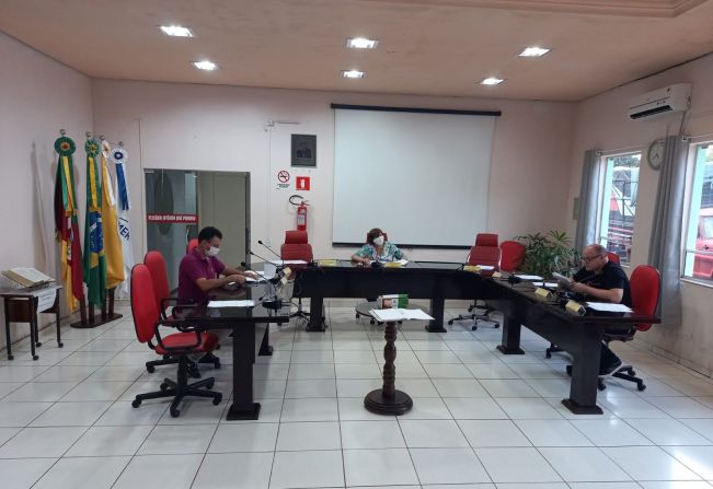 ATA DE AUDIÊNCIA PÚBLICA Nº 003/2021