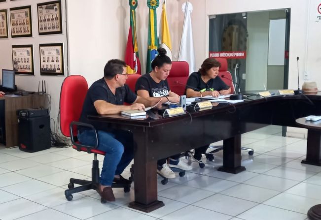 REUNIÃO DA COMISSÃO DE CONSTITUIÇÃO, JUSTIÇA, REDAÇÃO FINAL E DESENVOLVIMENTO SOCIAL.