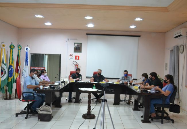 2ª SESSÃO ORDINÁRIA DA 1ª SESSÃO LEGISLATIVA ORDINÁRIA  DA 10ª LEGISLATURA, EM 08.02.2021.