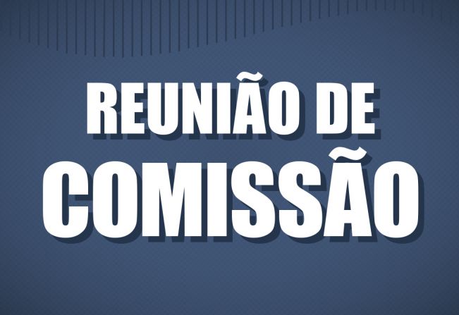REUNIÃO DA COMISSÃO DE CONSTITUIÇÃO, JUSTIÇA, REDAÇÃO FINAL E DESENVOLVIMENTO SOCIAL - DIA 29 DE SETEMBRO 2020.
