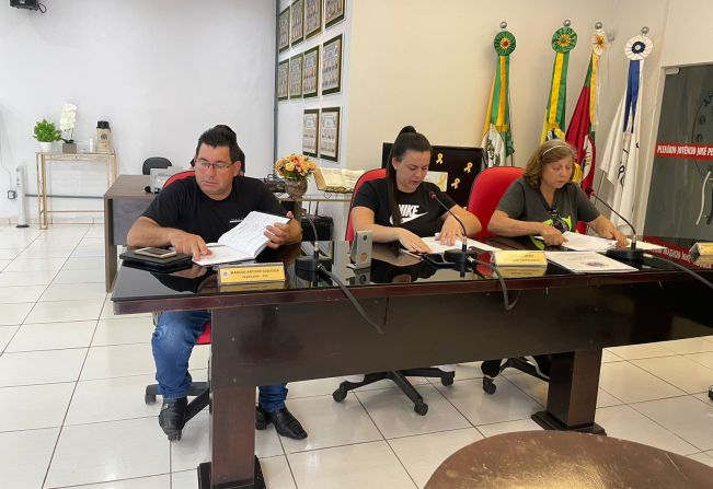 REUNIÃO DA COMISSÃO DE CONSTITUIÇÃO, JUSTIÇA, REDAÇÃO FINAL E DESENVOLVIMENTO SOCIAL.