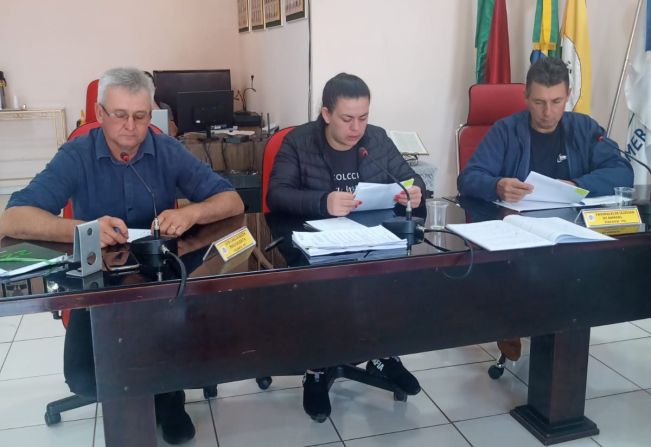 REUNIÃO DA COMISSÃO DE CONSTITUIÇÃO, JUSTIÇA, REDAÇÃO FINAL E DESENVOLVIMENTO SOCIAL