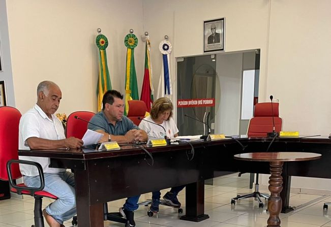 REUNIÃO DA COMISSÃO DE CONSTITUIÇÃO, JUSTIÇA, REDAÇÃO FINAL E DESENVOLVIMENTO SOCIAL.