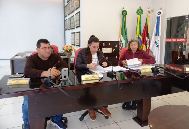 REUNIÃO EXTRAORDINÁRIA DA COMISSÃO DE CONSTITUIÇÃO, JUSTIÇA, REDAÇÃO FINAL E DESENVOLVIMENTO SOCIAL 