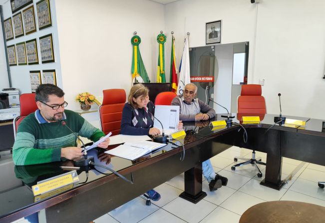 REUNIÃO DA COMISSÃO DE CONSTITUIÇÃO, JUSTIÇA, REDAÇÃO FINAL E DESENVOLVIMENTO SOCIAL.