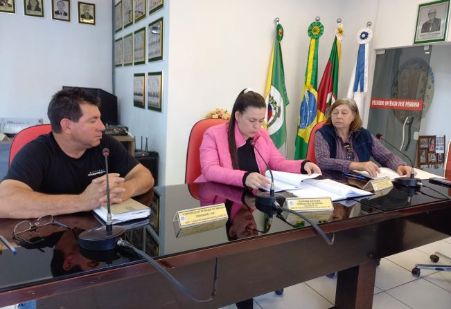 REUNIÃO DA COMISSÃO DE CONSTITUIÇÃO, JUSTIÇA, REDAÇÃO FINAL E DESENVOLVIMENTO SOCIAL.