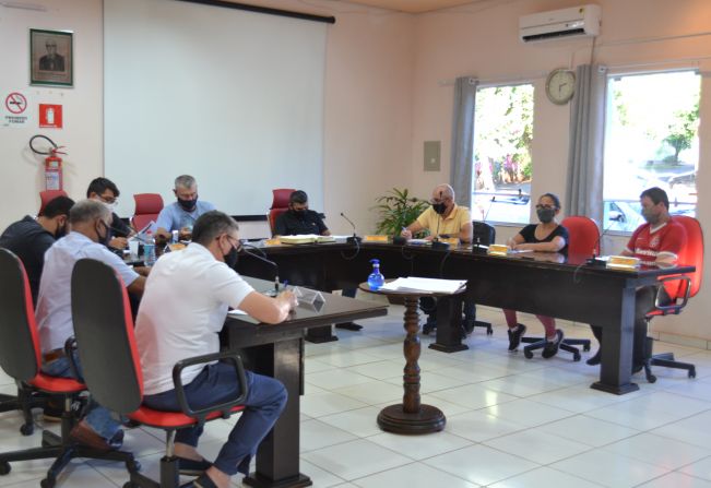 48ª SESSÃO ORDINÁRIA DA 4ª SESSÃO LEGISLATIVA ORDINÁRIA DA 9ª LEGISLATURA, EM 28.12.2020.