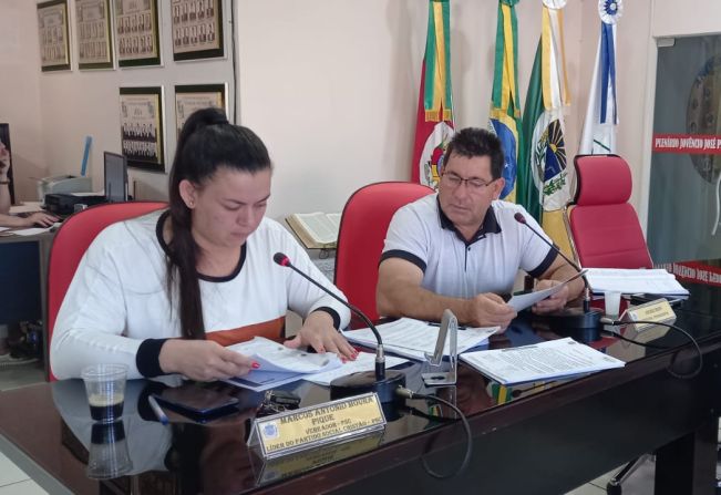 REUNIÃO DA COMISSÃO DE CONSTITUIÇÃO, JUSTIÇA, REDAÇÃO FINAL E DESENVOLVIMENTO SOCIAL.