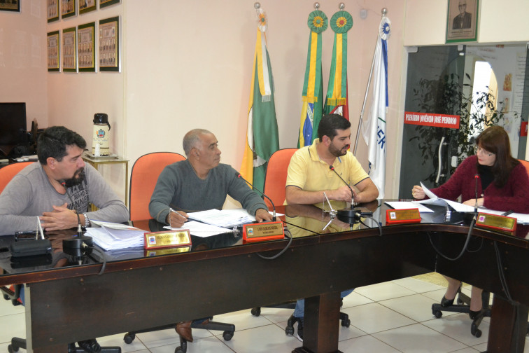 Reunião da comissão de constituição, justiça, redação final e desenvolvimento social