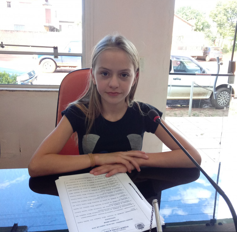 Pedido de Providência nº 05/2019 da Vereadora Mirim, Ana Carolina Ribeiro Carlsson.